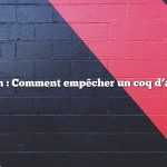 Question : Comment empêcher un coq d’attaquer